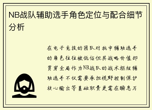 NB战队辅助选手角色定位与配合细节分析