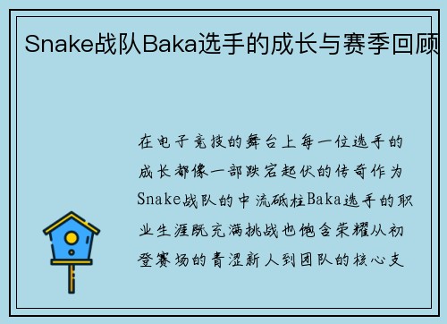 Snake战队Baka选手的成长与赛季回顾