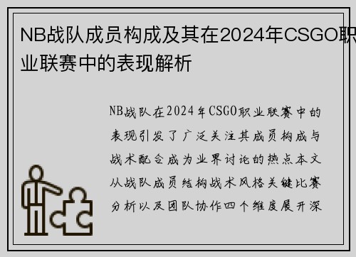 NB战队成员构成及其在2024年CSGO职业联赛中的表现解析